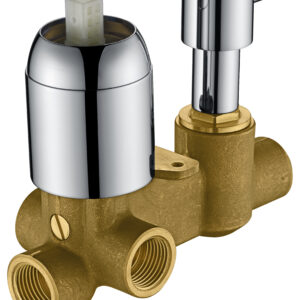 אינטרפוץ גוף 4 דרך